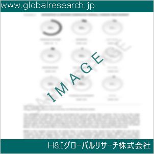 グローバルリサーチ調査資料のイメージ